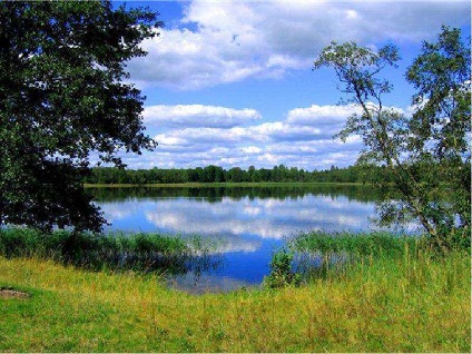Lecke a tó ökoszisztéma téma 12