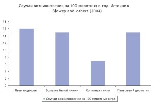 Îngrijirea copitelor de vaci, un echipament de fermă de pe litoral agricultor în Ussuriysk de salvare a arseniev