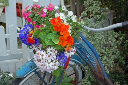 Vaze pentru flori din vechile lucruri, o revistă online pozitivă