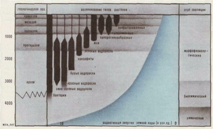 Radiații naturale omniprezente - sonde