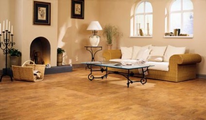 Alegem o podea pentru linoleum casa, un laminat, un covor - ce să aleagă