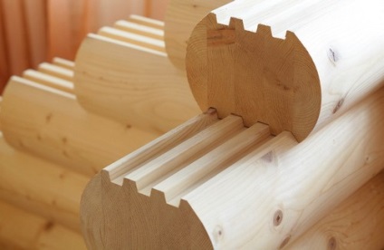 Tipuri de lemn Ce este și ce trebuie să știți despre soiuri