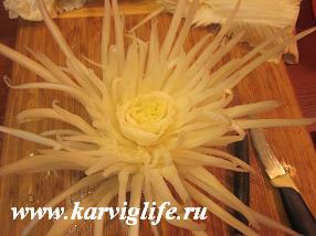 Tăiați crizantema din varză
