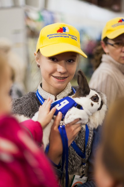 Expoziție de iepuri și șinșila din Ekaterinburg