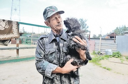 A Puskin kerület kaphat az első fogolytábor kóbor kutyák