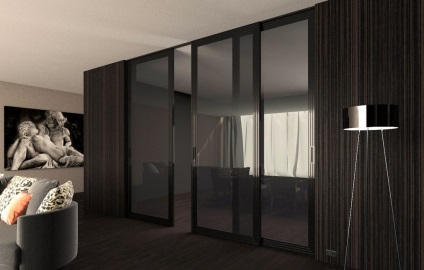 Intrare și ușile interioare întunecate în interiorul apartamentului, proiectarea adecvată a pardoselii camerei