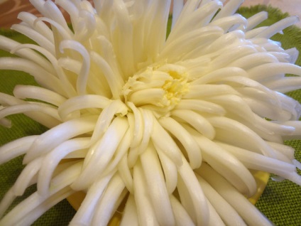 Crizantema din varza pentru decorarea mesei