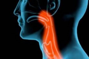 Boli, structura și funcția laringelui gâtului
