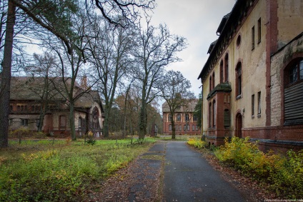 Spitalul abandonat whitec-haillstetten, viață pe fotografie