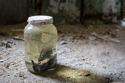 Spitalul abandonat whitec-haillstetten, viață pe fotografie