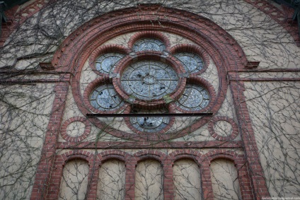 Spitalul abandonat whitec-haillstetten, viață pe fotografie