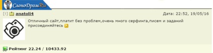 Câștiguri pe Internet de la 100 de ruble pe zi, cu retragerea unui portofel kiwi