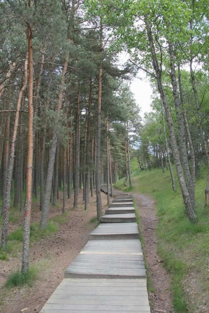 Zelenogradsk și parcul național Curtonian Spit