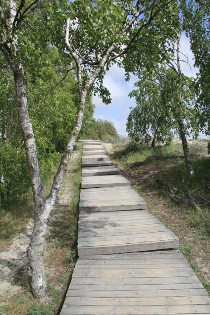 Zelenogradsk și parcul național Curtonian Spit