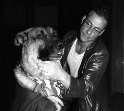 Jean-Claude van Damme și cei 9 câini ai săi