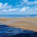 14 Interesante despre Marea Azov