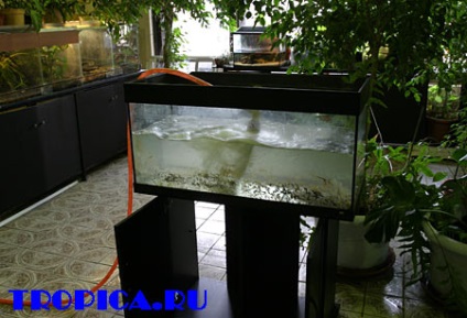 Portalul acvariilor