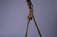 Alberto Giacometti Sculptura