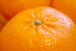 Allergiás a citrus narancs, mandarin, citrom - okok és következmények