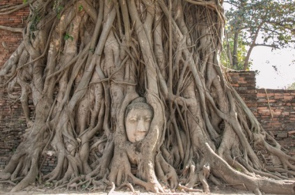Ayutthaya atracții, fotografie, cum să obțineți