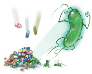 Bacterii care cauzează un ulcer gastric