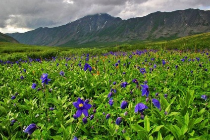 Байкал фото озера, опис особливостей