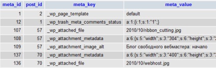 База данни на WordPress, нейната структура и на масата