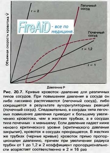 Tonul central al uterului este uterul în timpul sarcinii