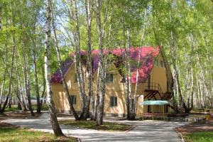 Kurochkino centru de recreere în Chelyabinsk - fotografii și recenzii