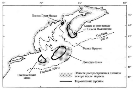 Biológiai szempontból a part menti Oceanology