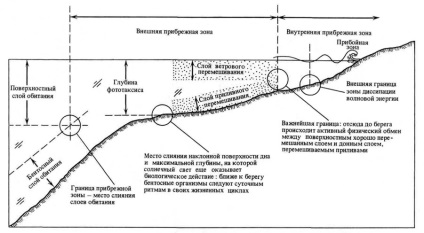 Aspecte biologice ale oceanologiei litorale