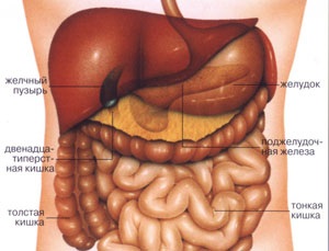 Durerea abdominală - diagnosticarea și tratamentul bolilor în Israel, Austria, Elveția - tratamentul