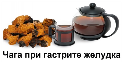 Chaga gastritis gyomor