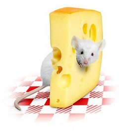 Cât de utilă este brânza de cremă