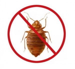 Mai mult decât atât, pentru a otrăvi ploșnițe într-un apartament, distrugerea insectelor în apartament