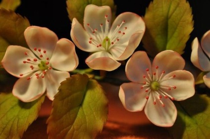 Flori de mere de la foyamiran master-class și de culoare, ramură și u