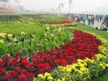 Paturi de flori din China