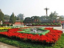 Paturi de flori din China