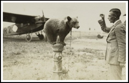 Devau înseamnă că Dumnezeu este o poveste fascinantă a unui aerodrom abandonat, camera Kaliningrad