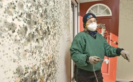 Mijloace eficiente împotriva mucegaiului și ciupercilor pe pereți