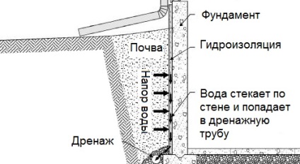 Criterii de diagnostic diferențiate pentru bolile de sânge însoțite de sindromul amigdalelor