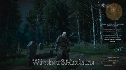 Armura în Witcher 3