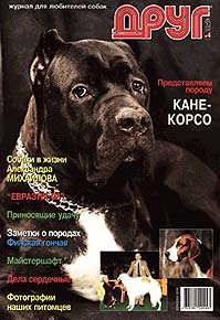 Friend (kutya) - minden magazin (kutya) -Letöltés csak csak vásárolni HIVATALOS HONLAPJA