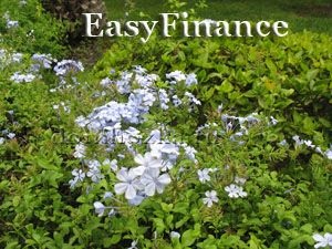 Easyfinance pentru Contabilitatea Finanțelor Personale
