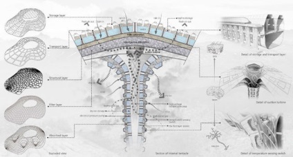 Energie proaspătă - mască volcanelectrică - o structură care protejează orașele de erupțiile vulcanice și