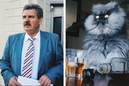 Dacă nu lukashenko, apoi pisica! Explicăm pe sigiliile care participă la cursa prezidențială