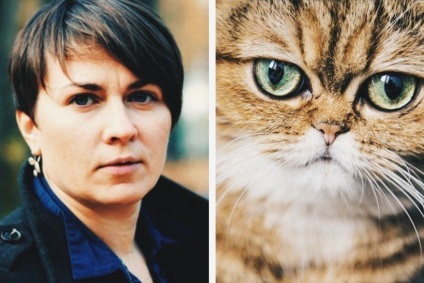 Dacă nu lukashenko, apoi pisica! Explicăm pe sigiliile care participă la cursa prezidențială