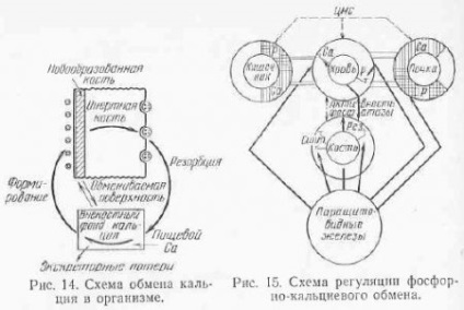 Factorii care determină starea și nivelul metabolismului mineral se referă la medicina veterinară