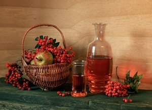 Gyógynövény, madárberkenye ősszel tulajdonságait hegyi kőris, hegyi kőris vörös, zöld blog