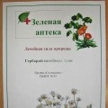 Fotók a „hogyan csináltuk herbáriumi” (összefoglalók óra) Fotók a „hogyan csináltuk herbáriumi”